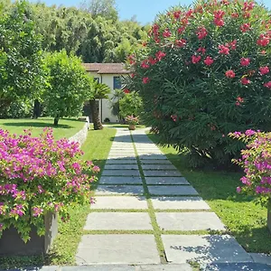 Spazio D'arte Relais Affittacamere Pietrasanta